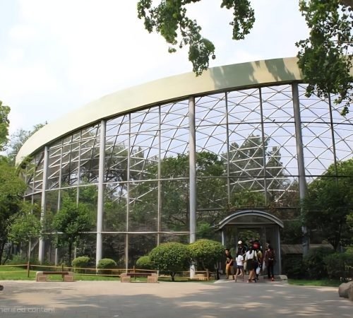 Large Walk-in Aviary Dome Structure