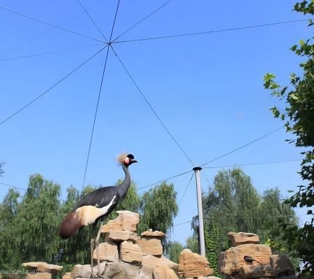 Large birds aviary netting
