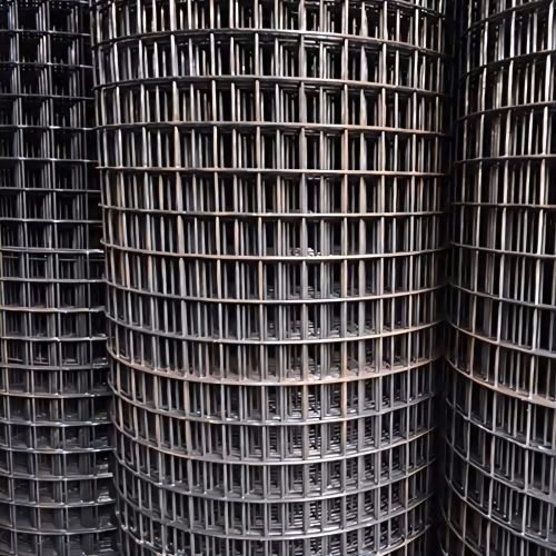 Main Welded Mesh Roll Image